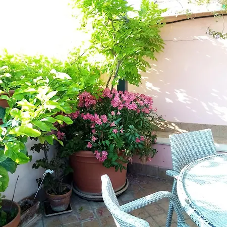 Bed & Breakfast Il Nido Della Quaglia - Jaba Mia House Lt Pozzuoli