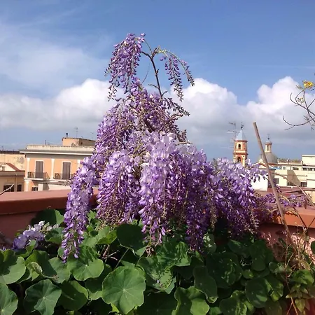 Il Nido Della Quaglia - Jaba Mia House Lt Bed & Breakfast