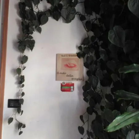 Il Nido Della Quaglia - Jaba Mia House Lt Pozzuoli